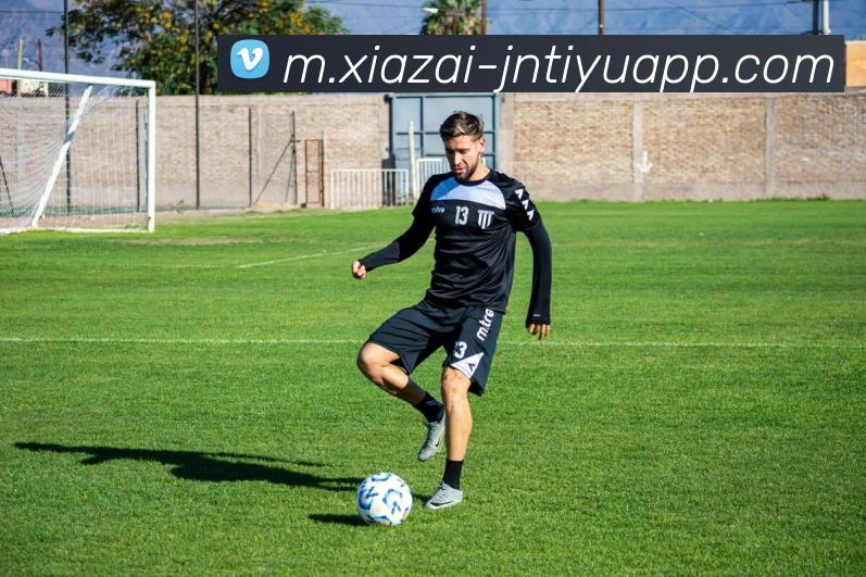 江南体育平台生态图